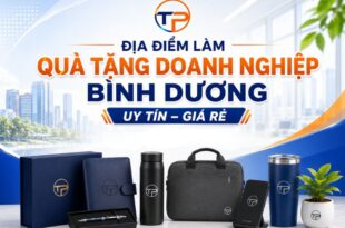 dia diem lam qua tang doanh nghiep binh duong